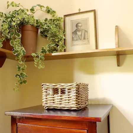 ヴィラ Casa Colonica ブーチネ